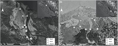 Complex temperature mosaics across space and time in estuaries: implications for current and future nursery function for Pacific salmon